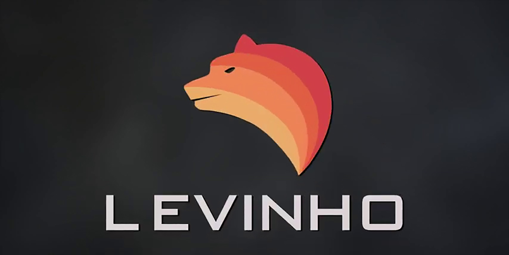 Can Sevou Save LEVINHO? | PUBG MOBILE | LEVINHO